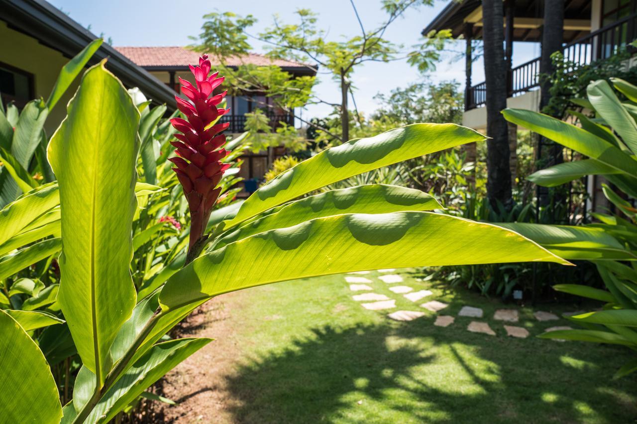 Dream Garden Arugam Bay Exterior foto