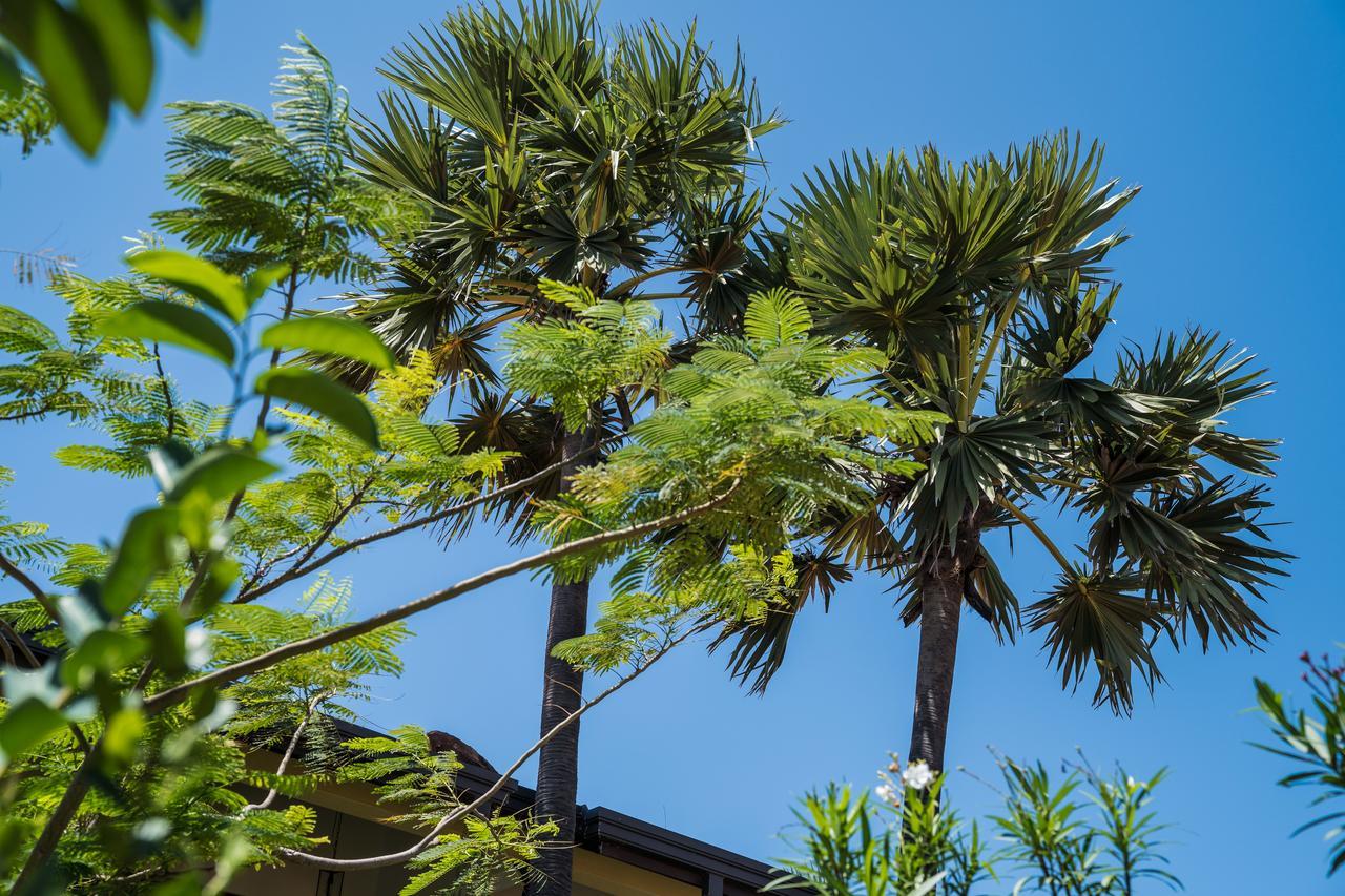 Dream Garden Arugam Bay Exterior foto