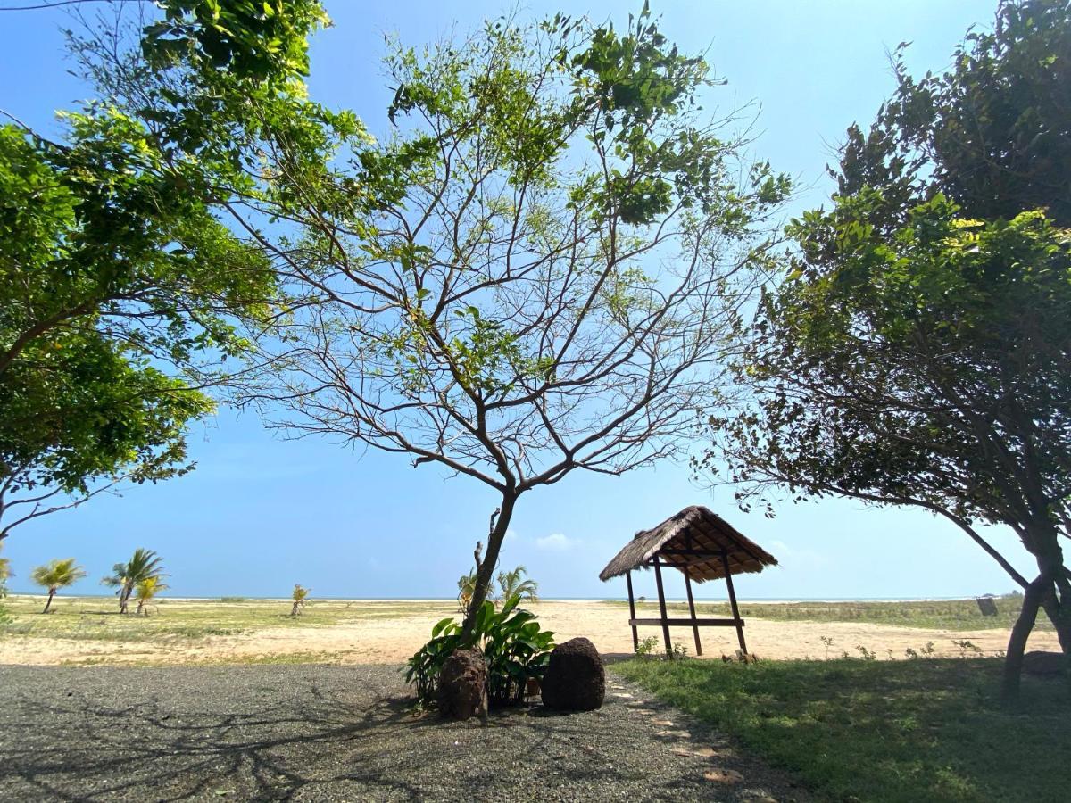Dream Garden Arugam Bay Exterior foto